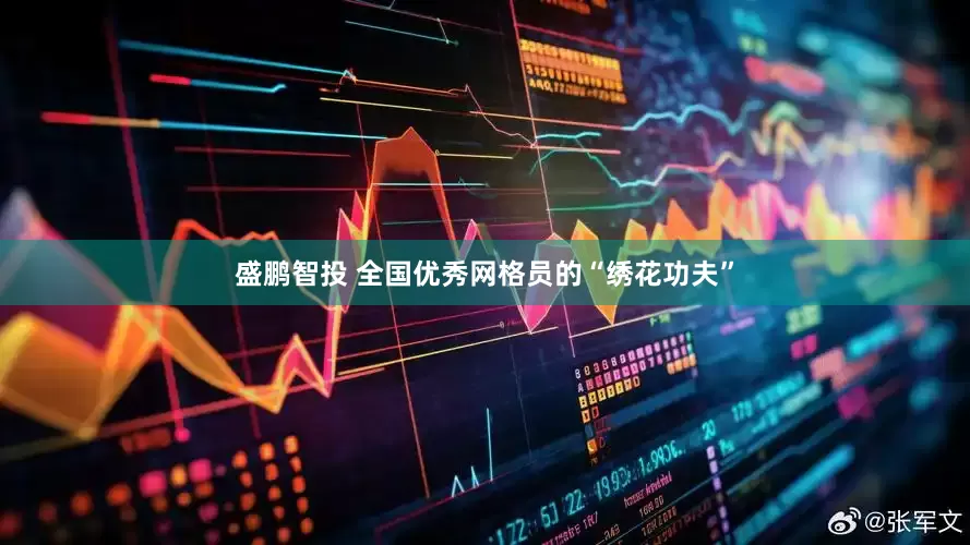 盛鹏智投 全国优秀网格员的“绣花功夫”