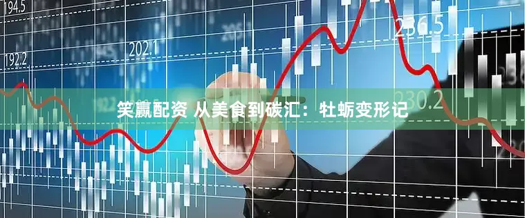 笑赢配资 从美食到碳汇：牡蛎变形记