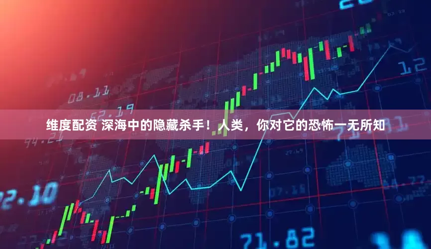 维度配资 深海中的隐藏杀手！人类，你对它的恐怖一无所知