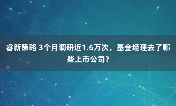 睿新策略 3个月调研近1.6万次，基金经理去了哪些上市公司？
