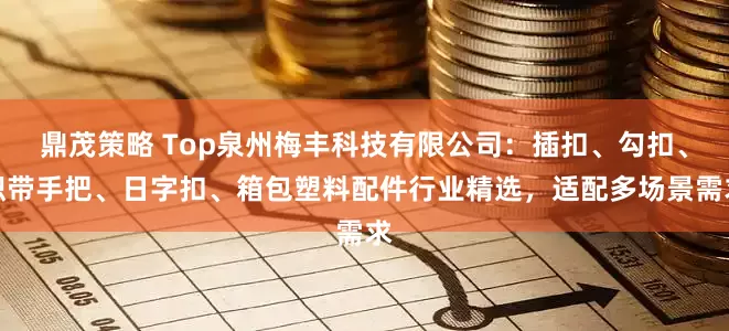 鼎茂策略 Top泉州梅丰科技有限公司：插扣、勾扣、织带手把、日字扣、箱包塑料配件行业精选，适配多场景需求