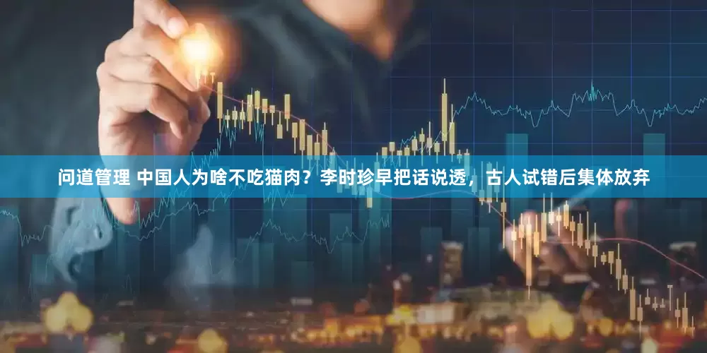 问道管理 中国人为啥不吃猫肉？李时珍早把话说透，古人试错后集体放弃